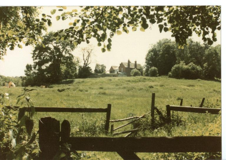 Hillside before construction c1980