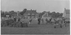Bulbery sports field under construction 1951