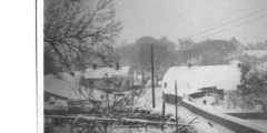 Lower Cottage garden from west c1942