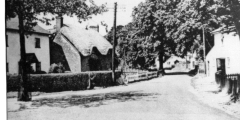 Jubilee Oak and houses from south c1960