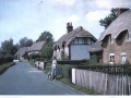 Little Ann street from east c1960
