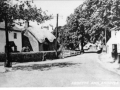 Jubilee Oak and houses from south c1960