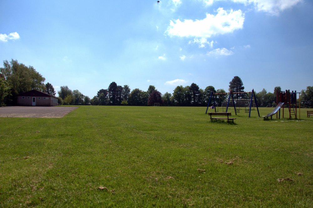 Bulbury Field