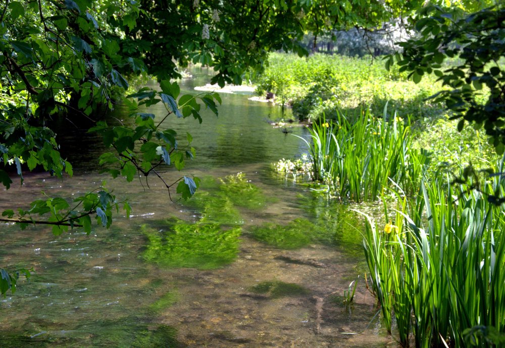Pillhill Brook