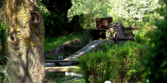 Mill at Mill Cottage