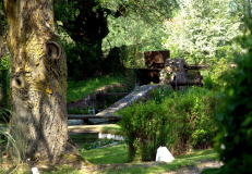 Mill at Mill Cottage