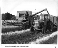 Albert Cuff gathering grain c1968