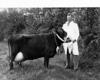 Tom Vallis and prize Jersey cow undated