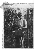 Danny Robinson picking tomatoes c1940