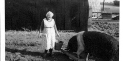 Mrs Helly Robinson with Wessex sow c1960
