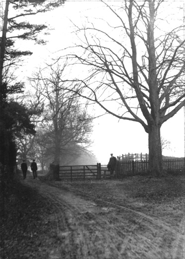 North end of "Coach Road"