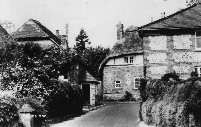 River and leat at Lower Mill or West Hill c.1960