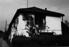 View of east end of River Mead Little Ann 1981