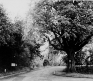 North end of "Coach Road"