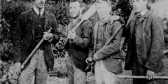 Abbotts Ann cricketers c.1880s,
