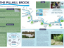 The Pillhill Brook