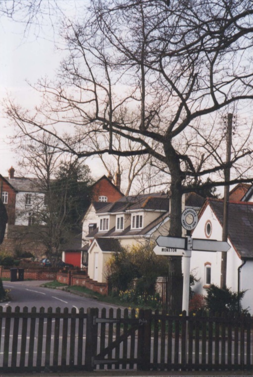 AAPC-6-1-010 -- Monxton Road (West Hill) Upper Cottage, April Cottage and Jubilee Oak -- 2000