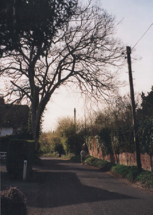 AAPC-6-1-028 -- Church Road -- Old Manor wall, looking west -- 2000
