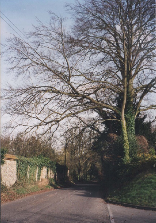 AAPC-6-1-050 -- Church Road, Old Manor wall looking east -- 2000