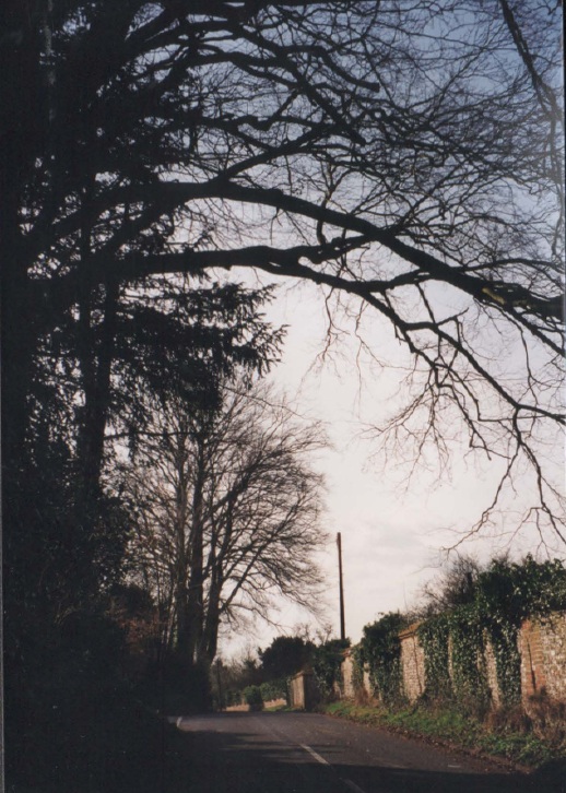 AAPC-6-1-052 -- Church Road, Old Manor wall looking west -- 2000