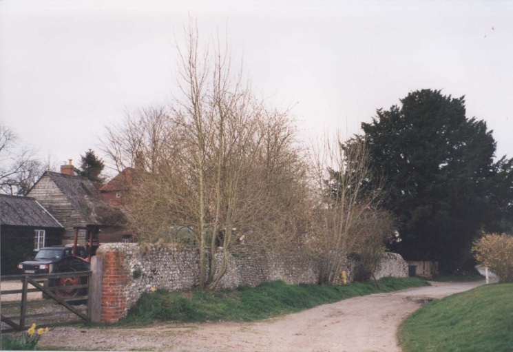 AAPC-6-1-100 -- Dunkirt Lane, Manor Farm House boundary wall -- 2000