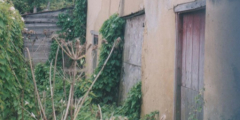AAPC-6-1-003  -- Duck St, Old Cob Barn -- The Old Cob Barn north wall -- 06-Sep-2000