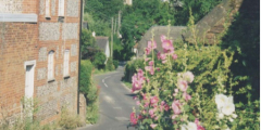 AAPC-6-1-011 -- Monxton Road (West Hill) looking east, Lower Cottage, church tower in background -- 12-Jul-1999