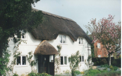 AAPC-6-1-043 -- Dunkirt Lane, Old Bakery Rose Cottage -- 2000