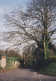 AAPC-6-1-050 -- Church Road, Old Manor wall looking east -- 2000
