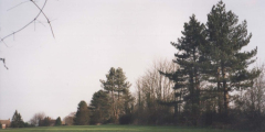 AAPC-6-1-071 -- Bulbery Sports Field southern boundary -- 2000