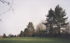 AAPC-6-1-071 -- Bulbery Sports Field southern boundary -- 2000