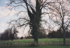 AAPC-6-1-076 -- War Memorial Hall grounds looking east to Old Rectory across meadow -- 2000