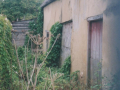 AAPC-6-1-003  -- Duck St, Old Cob Barn -- The Old Cob Barn north wall -- 06-Sep-2000