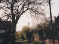 AAPC-6-1-028 -- Church Road -- Old Manor wall, looking west -- 2000