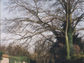 AAPC-6-1-050 -- Church Road, Old Manor wall looking east -- 2000
