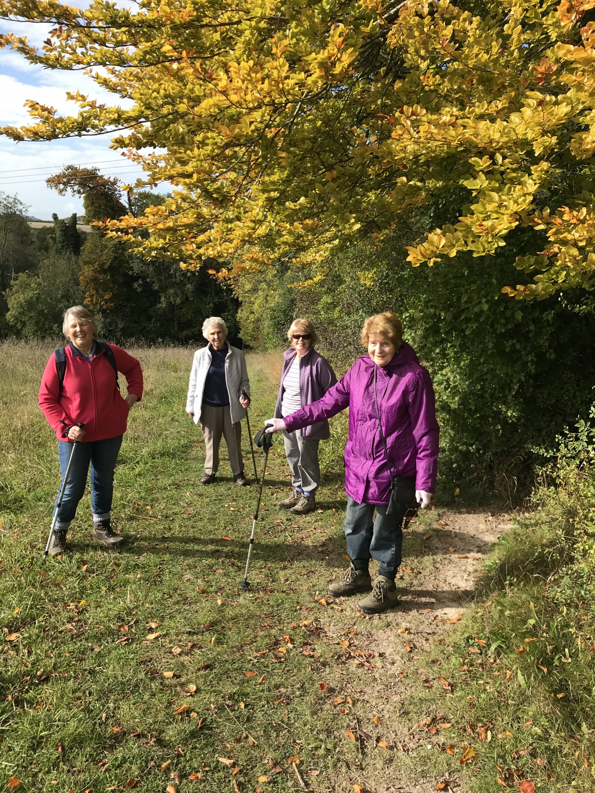 Socially Distanced Walking Group October 2020