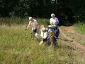On Saturday 08 August 09 we walked between Coombe Gibbet & Linkenholt along the Test Way