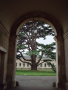 Woburn Abbey in August 2001