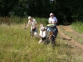 On Saturday 08 August 09 we walked between Coombe Gibbet & Linkenholt along the Test Way