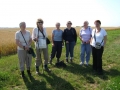 On Saturday 08 August 09 we walked between Coombe Gibbet & Linkenholt along the Test Way