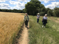 WI-Walk-2-110720