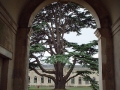 Woburn Abbey in August 2001