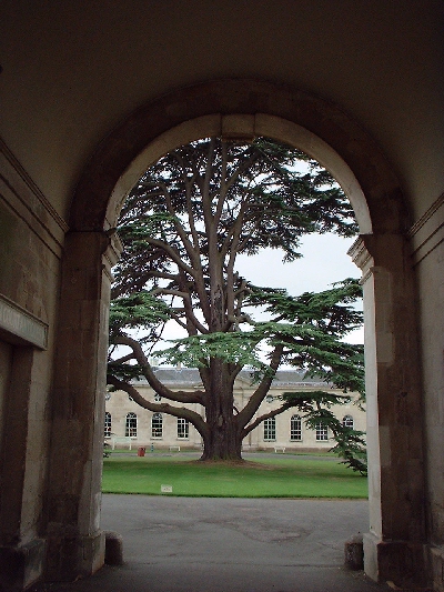 Woburn Abbey in August 2001
